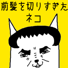 前髪を切りすぎたネコ