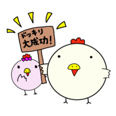 まるまる！コッコさん