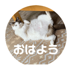 ちょびモモスタンプ②