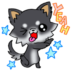 キュートな白黒ちわわっ！