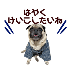 中島家のこたろうとけんたろう