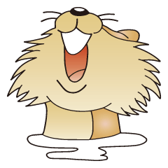 ハッスル ビーバー