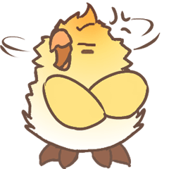 Cockatiels parrot birds