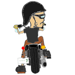 「アメリカンなスポーツ単車」大好き