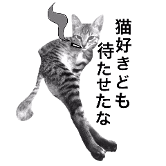 猫好きやろーどものために作ったスタンプ