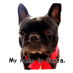 オデはサンタ。博多弁をしゃべってみたよ。