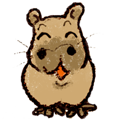 カピちゃんと北九州弁