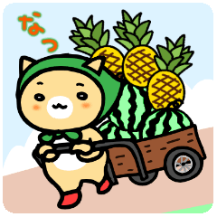 ほっかむりさんの夏