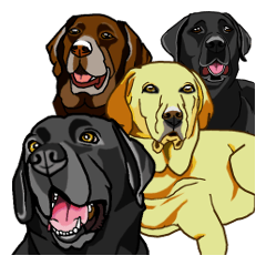 ラブラドール オールスターズ 2 【友達用】