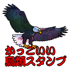 いろいろな鳥類で日常会話