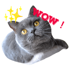 ブルーブリニャン