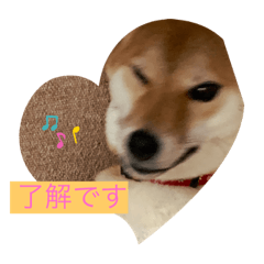 小ましゃ春日和