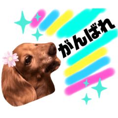 我が家の癒しれお君のスタンプ5