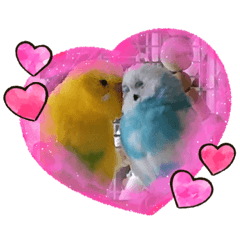 ちっちゃいものくらぶ@Amaryllis