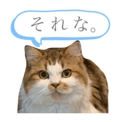 エブリデイ使えるあんこスタンプ2