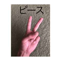 どこぞのニートの手。