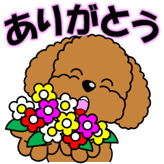 動く！トイプーの日常挨拶スタンプ