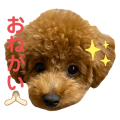 はるちゃんのかわかわスタンプ