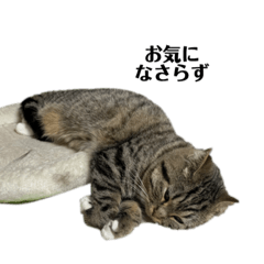 ちよことくりこの敬語スタンプ