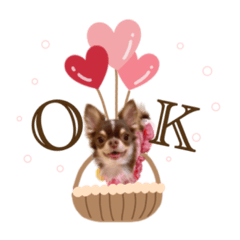 いちごのバレンタイン