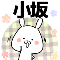 小坂の元気な敬語入り名前スタンプ(40個入)