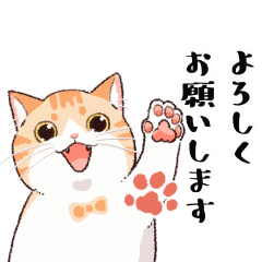 いいやつすぎる猫トミー２（ちょっと夏）