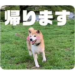 小雪ちゃんスタンプU^ェ^UⅡ