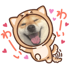 柴犬すずの笑顔満開スタンプ①