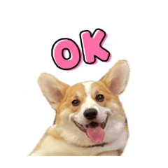 コーギーの可愛いスタンプ