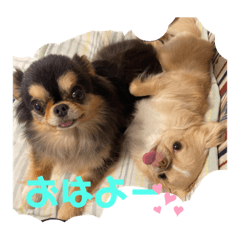 ロイ君&メイちゃん