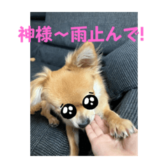 雨の日ひまー　スタンプ