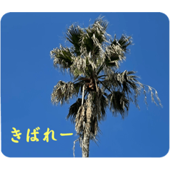 枕崎ヤッシーパワー