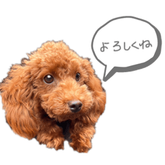 ぱるくん はじめまして