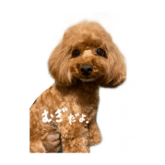 むぎだよ。スタンプ