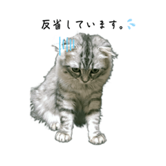 親分のひと言①