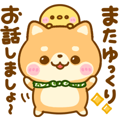 大人の優しい気遣い敬語♡豆柴日和