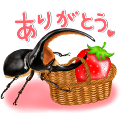 リアルクワカブ☆春〜少し梅雨の日常