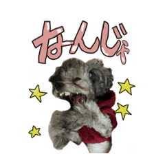 くうとぎんのスタンプ