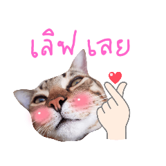 nuinui_20230804160046