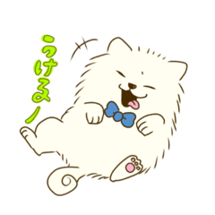 まるぽめちゃん（2）