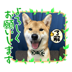 いなりのライフスタイル⭐️