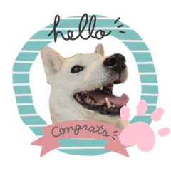 普段のもっちゃん