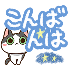 ハチワレぶち【色鉛筆】