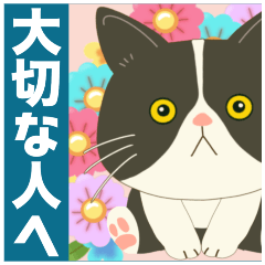 ハチワレぶーにゃん＊好き＊ありがとう