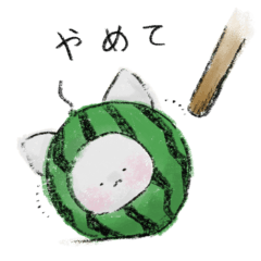 しろねこさんのいちねんかん