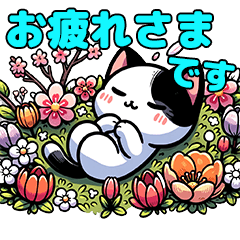 春の日々と猫のひととき