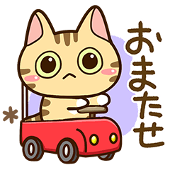 とらコ☆ガーリー