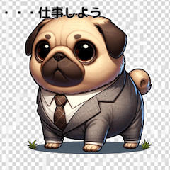 パグ部長ボクサー