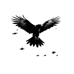 鴉(カラス)series2