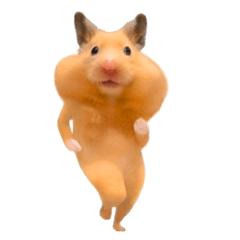 踊る！キモカワハムスター